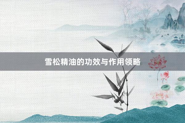 雪松精油的功效与作用领略