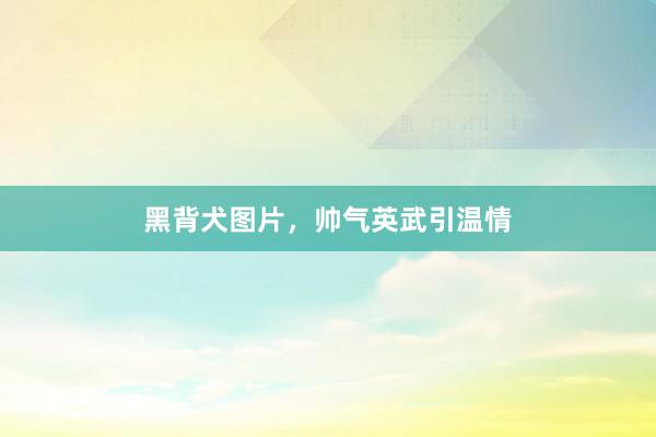 黑背犬图片，帅气英武引温情