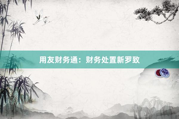 用友财务通：财务处置新罗致
